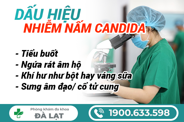 Hình ảnh minh họa